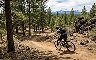 The Best Places to Go Biking Near Flagstaff Vacation Rentals