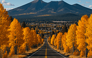 Where to See Fall Colors When Staying in Flagstaff