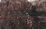 Scenic Drives Near Flagstaff: Routes to Take for Stunning Views