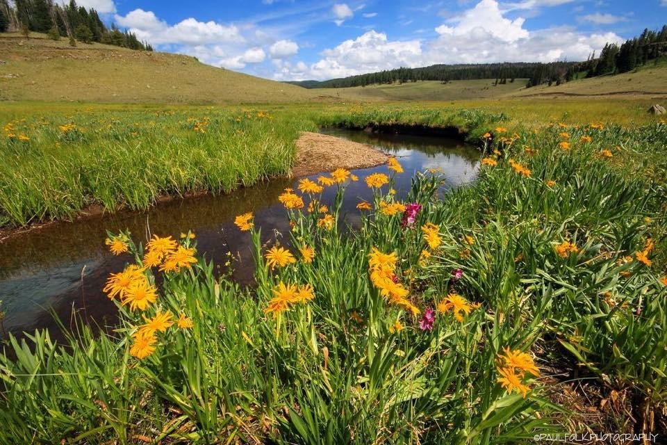 Vacation Rental in Flagstaff