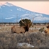 Grand Canyon Getaway in Williams, AZ