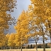 Willow Pond Retreat in Flagstaff, AZ