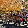 The Carriage Place in Flagstaff, AZ